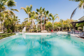 Palm Garden Valencia